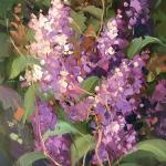 Jabens Mary    ___
"  lilacs in Purple "
___10x8
